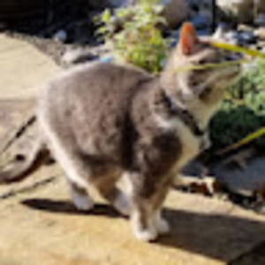 Meet your Posher, Alyssa